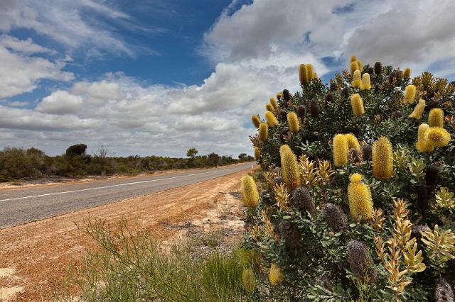 040 Kalbarri NP.jpg